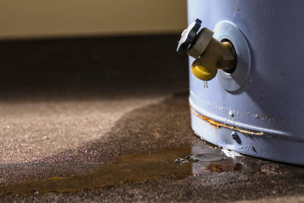 Best Flood restoration services  in Maple Glen, PA
