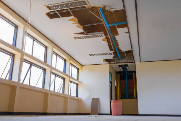 Best Mold removal after water damage  in Maple Glen, PA