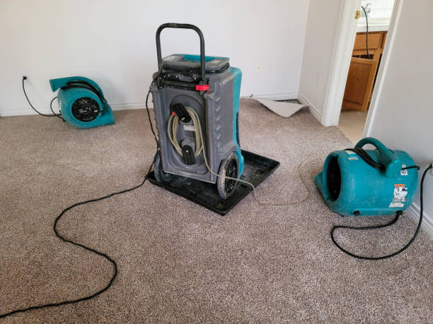 Best 24/7 water damage repair  in Maple Glen, PA