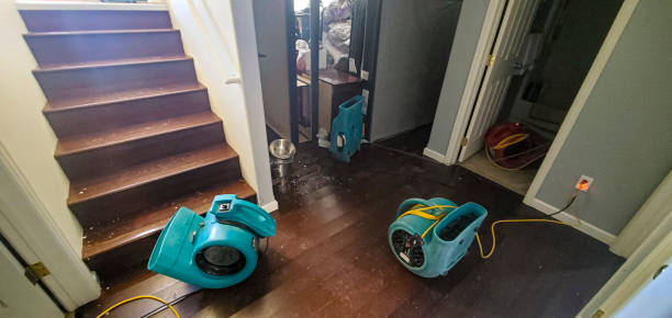 Best Sewage cleanup and water damage restoration  in Maple Glen, PA