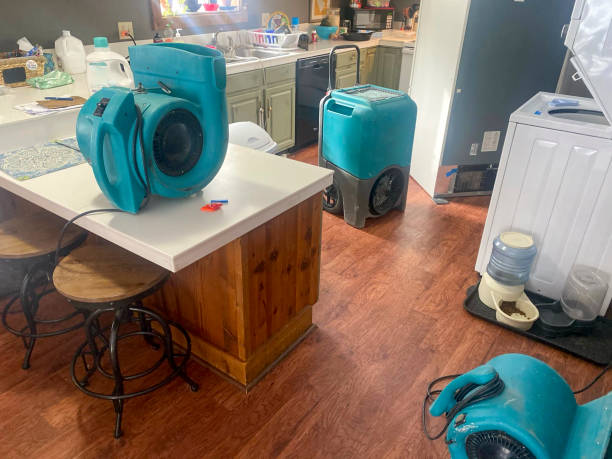 Best 24-hour water damage restoration  in Maple Glen, PA