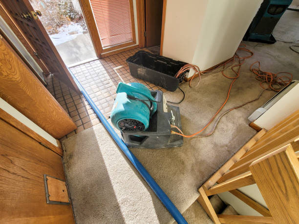 Best Flood damage cleanup  in Maple Glen, PA