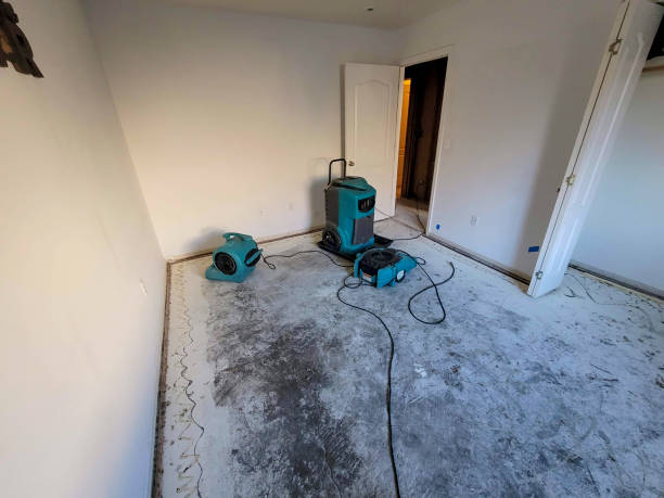 Best Ceiling water damage repair  in Maple Glen, PA