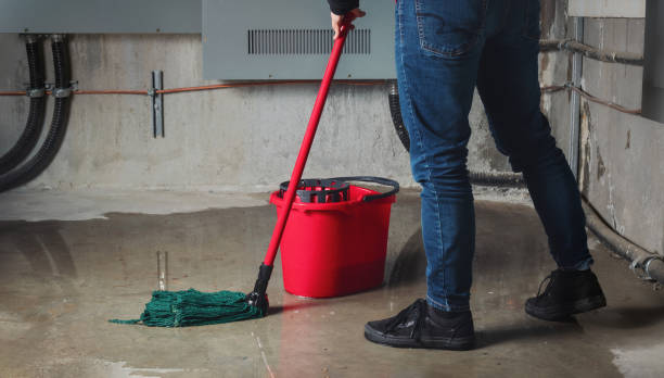 Best Water damage restoration near me  in Maple Glen, PA