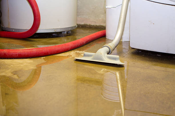 Best Flooded house restoration  in Maple Glen, PA
