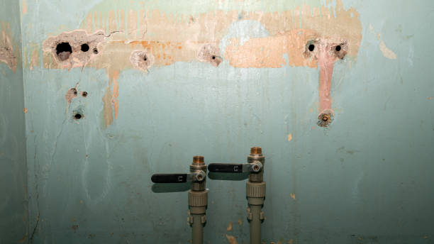 Best Flood damage cleanup  in Maple Glen, PA