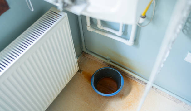 Best Water damage restoration experts  in Maple Glen, PA