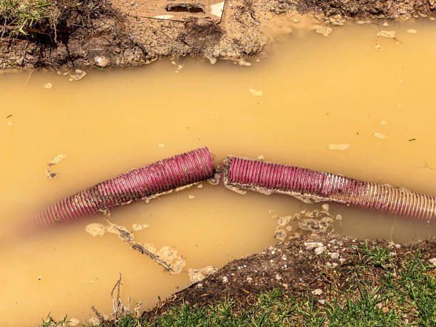 Best Water damage mitigation services  in Maple Glen, PA